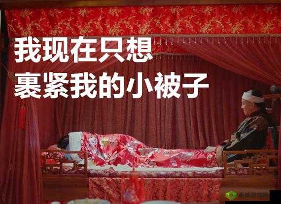 周莹躲进被子里引发的故事