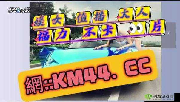 忘忧草蜜芽老狼更新速度快：优质内容持续输出