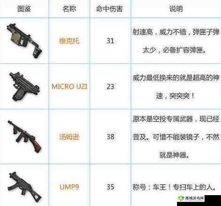 绝地求生全军出击:最佳枪支与装备搭配推荐,成就战场生存大师