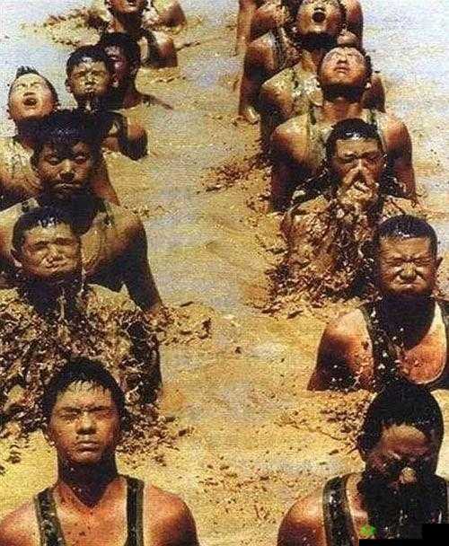 白起奇迹的诞生:无畏逆境的坚守与信任