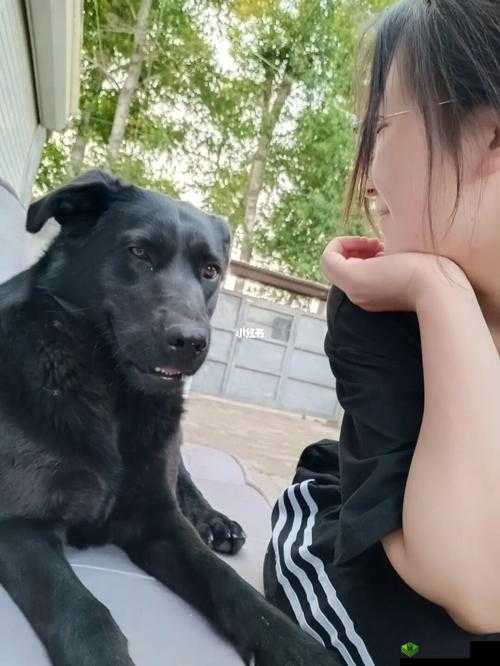 我的狗老公和婆婆一起:奇妙的家庭组合