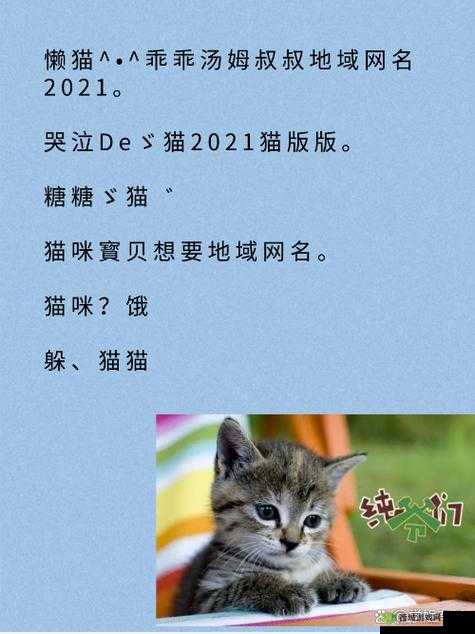 猫咪 MV 最新地域网名怎么取:探索独特取名思路