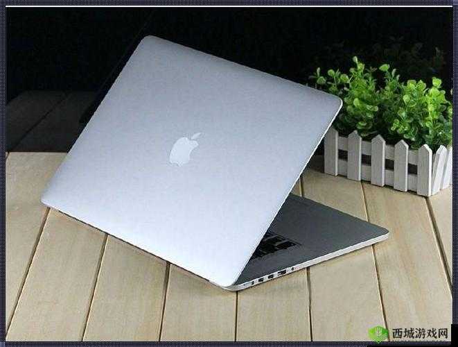 1819 岁 macbook pro 高清版本:卓越性能新体验