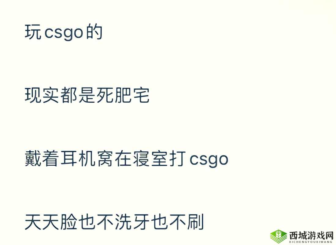 暴躁老阿姨CSGO 剧情解析:深度剖析游戏背后的故事