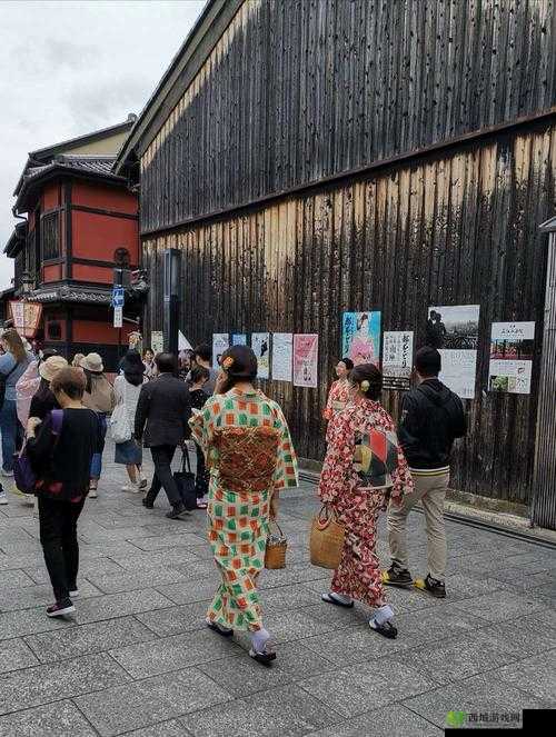 zzzjjj 日本:独特风情之旅