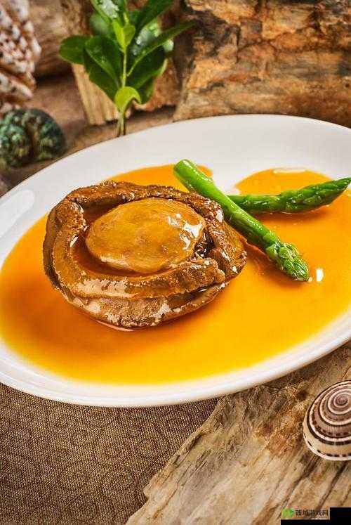 丰满鲍鱼 20p:极致美味的鲍鱼盛宴