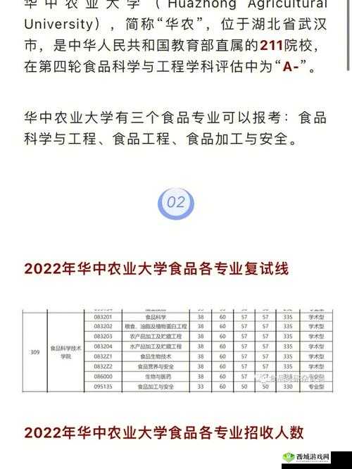 肉食教师食取报告3HD:深度解析与思考