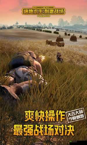 绝地求生刺激战场安装疑难解析：解决安装失败的有效方法汇总