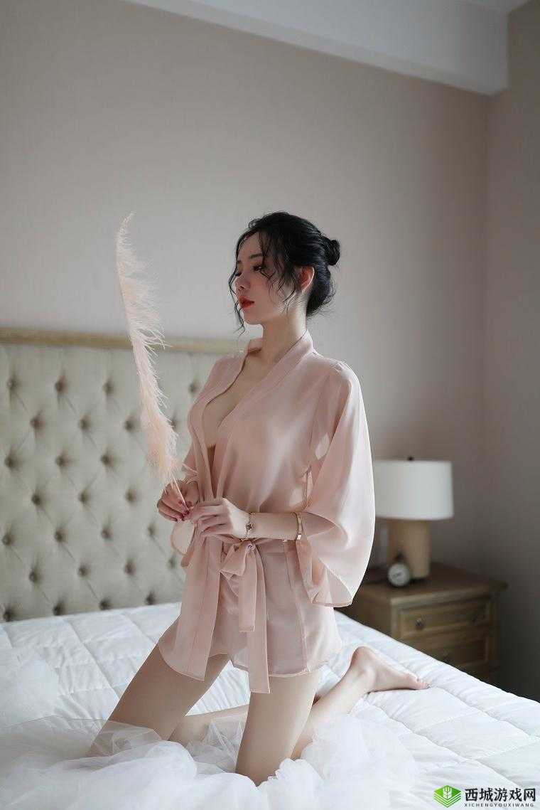 欧美激情无码乱妇在线内衣：极致感官体验