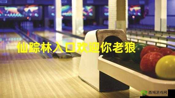 仙踪林在线入口欢迎您：开启奇幻之旅