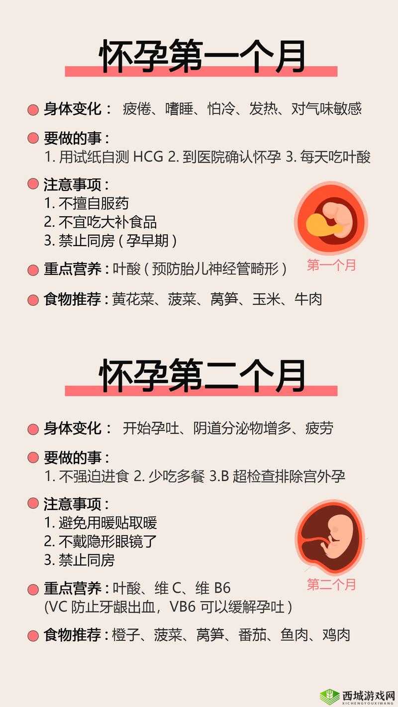 如何让母亲怀孕:科学备孕与注意事项