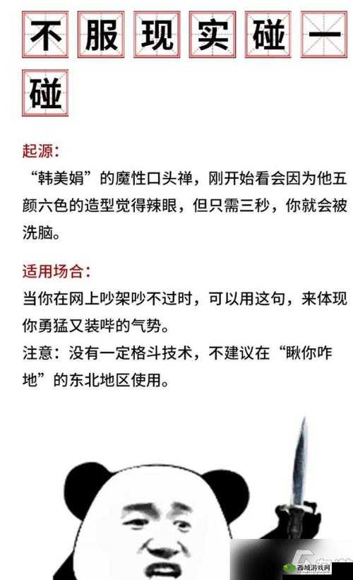 荷兰：黑料反差婊，人设崩塌的真相
