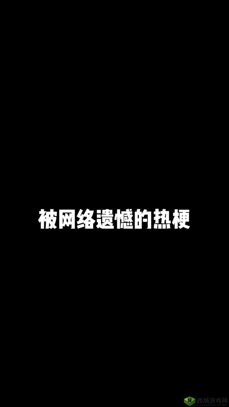 17c 一起草国卢:网络热梗背后的故事