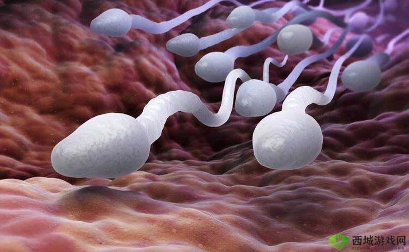 高龄老太性行为中达到高潮且体内射精相关探讨