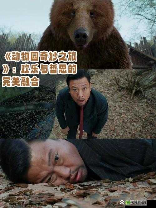 ZOOM 动物啦啦啦啦啦:探索奇妙动物世界的欢乐之旅
