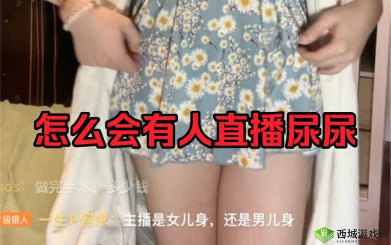 私人直播间哔哩哔哩免费:带来精彩无限的直播体验