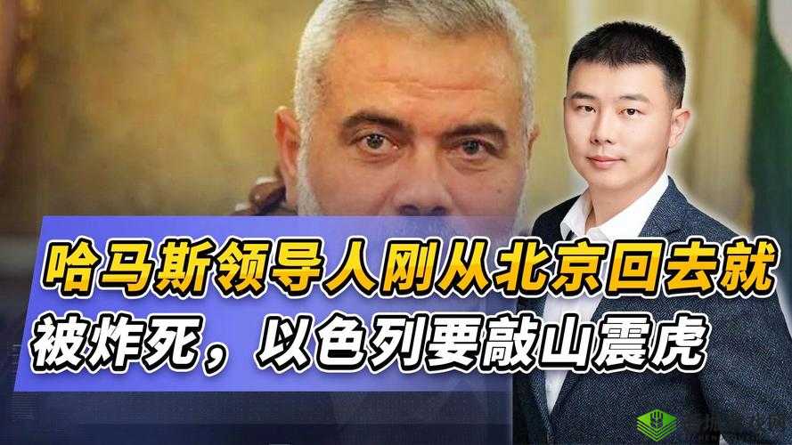 17c 一起草:探索官网的无限可能