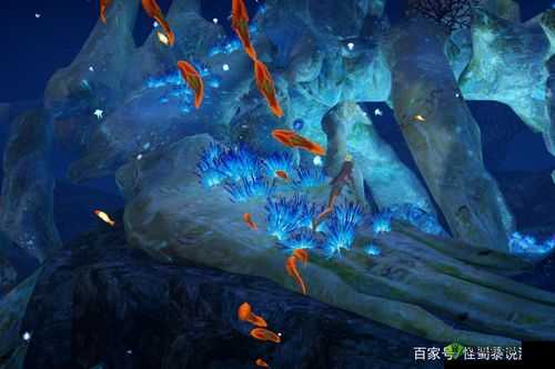 探索天谕手游的水母之梦,一场奇幻的海底冒险