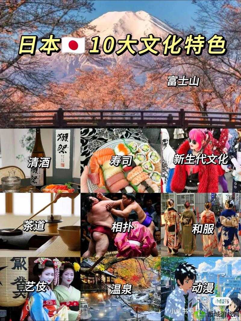 日本最大但人文艺术欣赏的背景：深度探寻其独特魅力与价值
