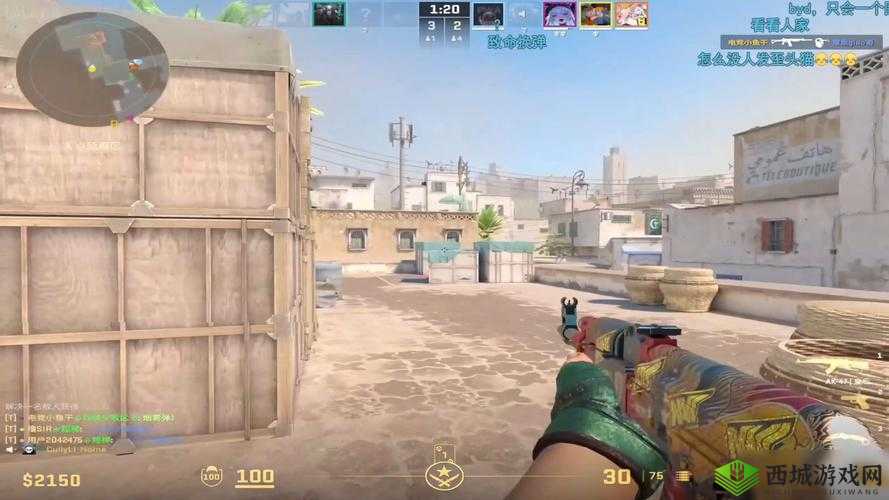 CSGO 高清视频免费观看播放:畅享精彩竞技盛宴