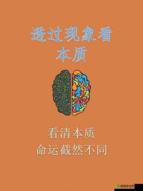 探索未知的 xxxbbbb:从现象到本质的