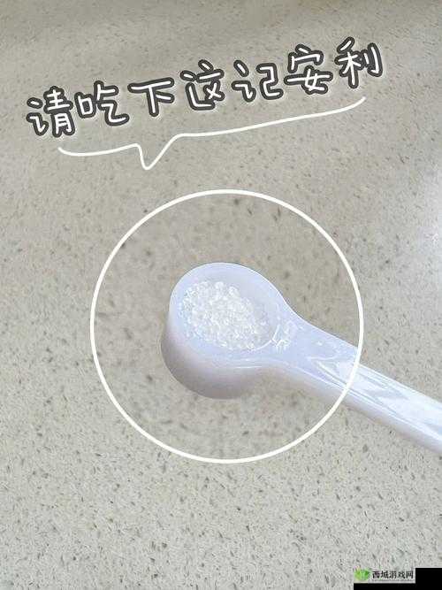 盐母 1-6 怎么看:深入解读其奥秘与要点