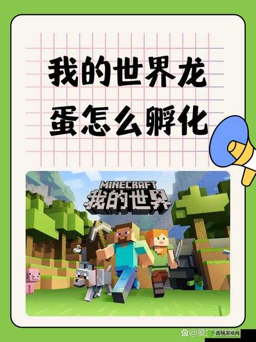 我的世界，解锁龙驯服与喂食的奇幻之旅