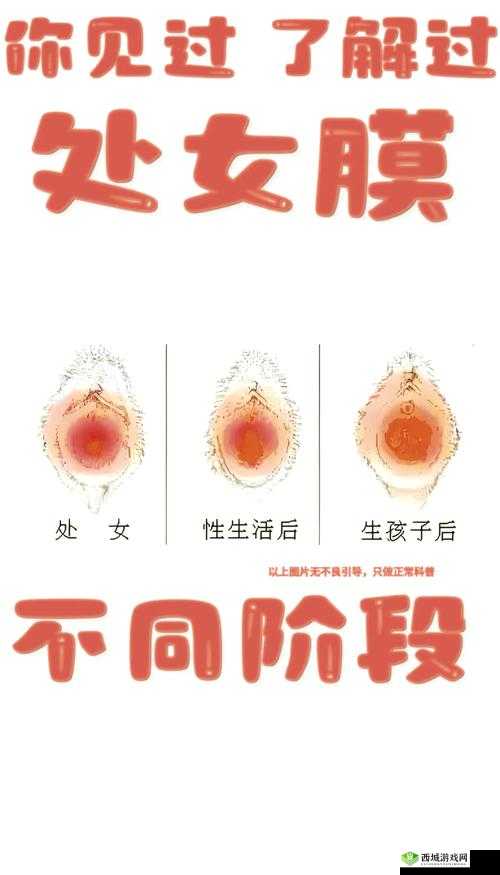 第一次破女初感觉的真实体验分享:心理与生理的双重冲击与成长